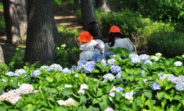 서산 모월힐링숲