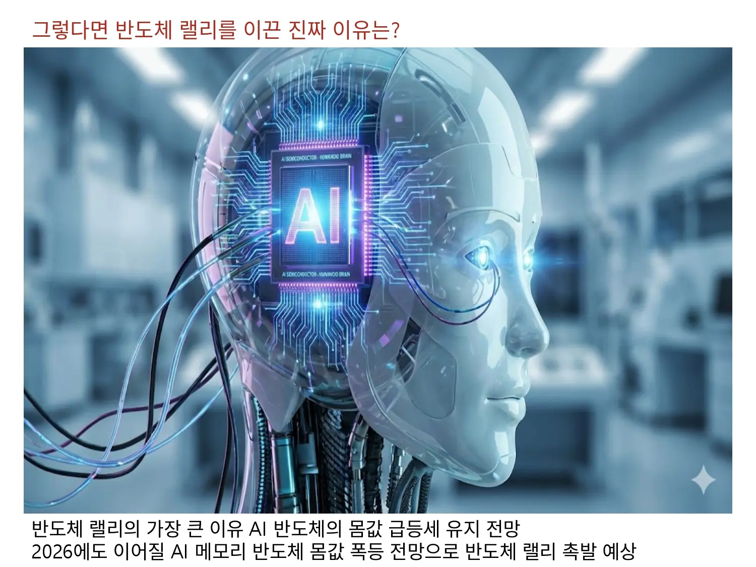 2026.02.03 반도체 랠리 진짜 이유는?