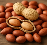 땅콩 효능