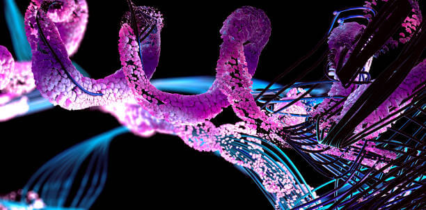 산양유단백질을 먹어야 하는 이유, 근육의 중요성을 알아야 합니다.