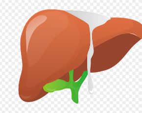 간이식 후유증 알아보기