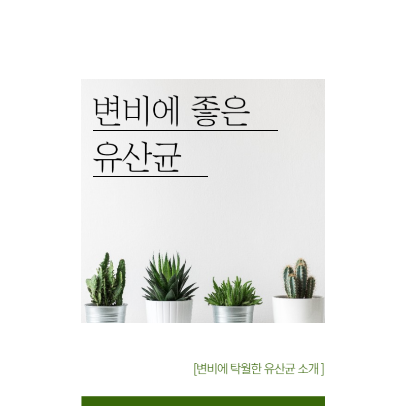 변비에 좋은 유산균 추천