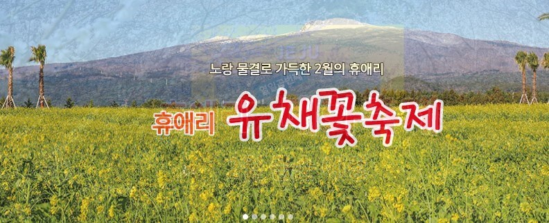 휴애리 유채꽃 축제 감귤체험, 휴애리는 제주에서 아름다운 향토공원으로 한라산이 보이는 쉼과 제주의 향기를 느낄 수 있는 자연 생활 체험 공간입니다. 매년 매화, 수국, 핑크뮬리, 동백꽃 축제가 열리고 있습니다. 계절마다 아름답게 피는 꽃을 제주도에서 본다면 잊지 못할 여행이 될 것입니다.