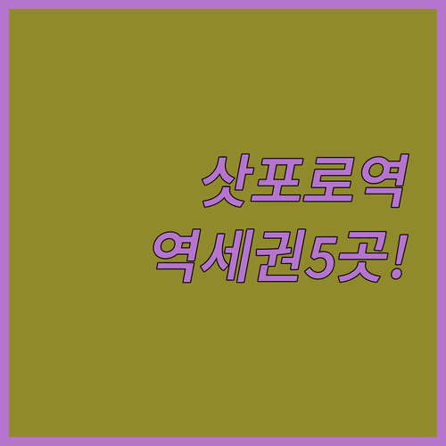 눈오는 날에도 끄떡없는 삿포로역 역세..