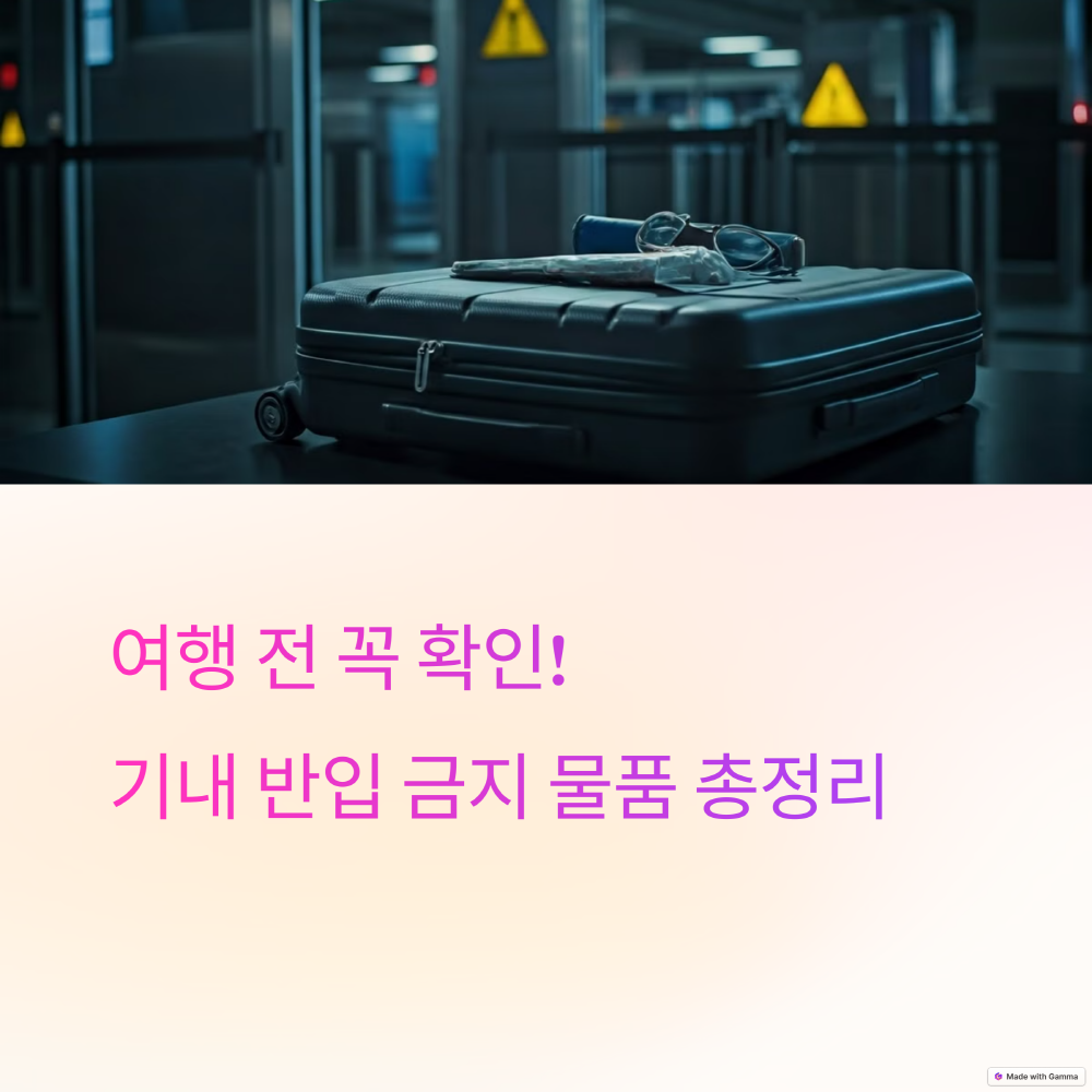 여행전 꼭 확인