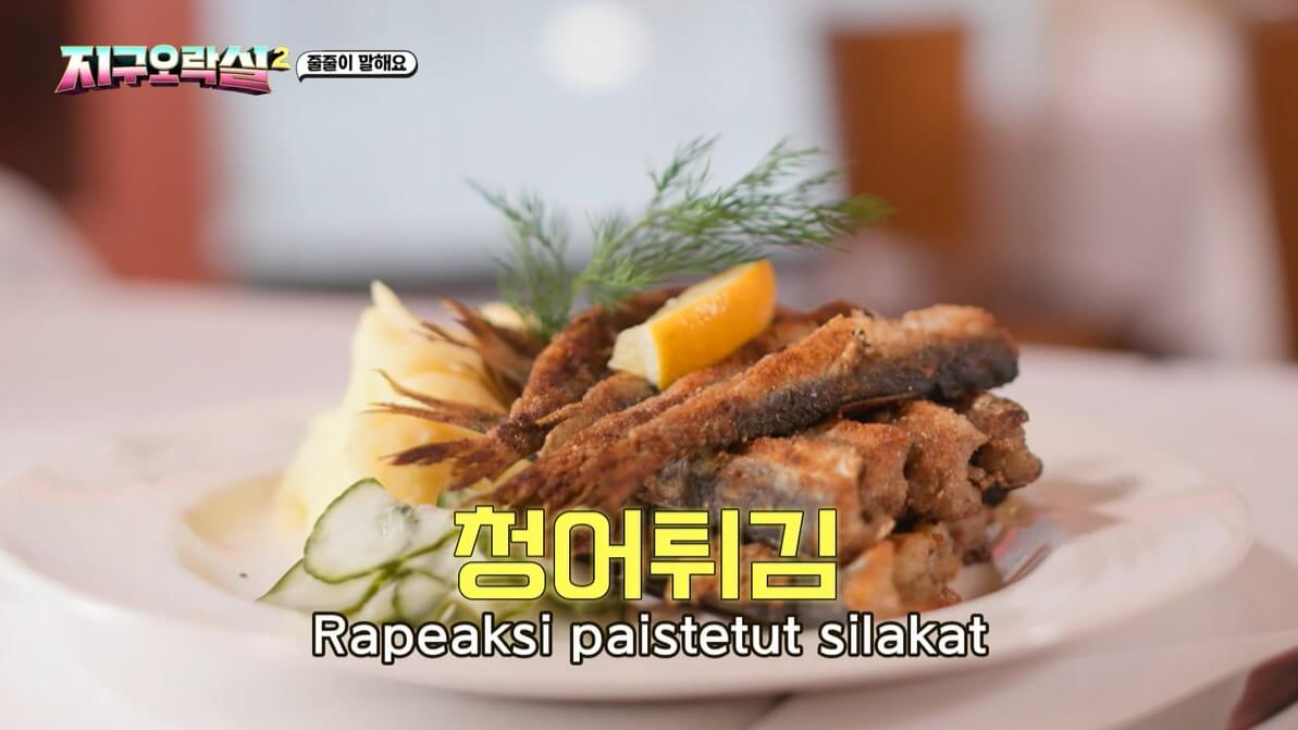 지구오락실 (지락실) 핀란드 헬싱키 90년 전통 가정식 맛집 초록색 해마문 식당 지락실촬영장소 씨홀스 시홀스