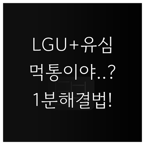 LGU+ 유심 카드 읽기 오류 원인과..
