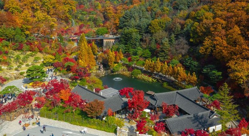 화담숲 단풍구경 2025-가을 단풍시기, 축제 일정, 예매 꿀팁