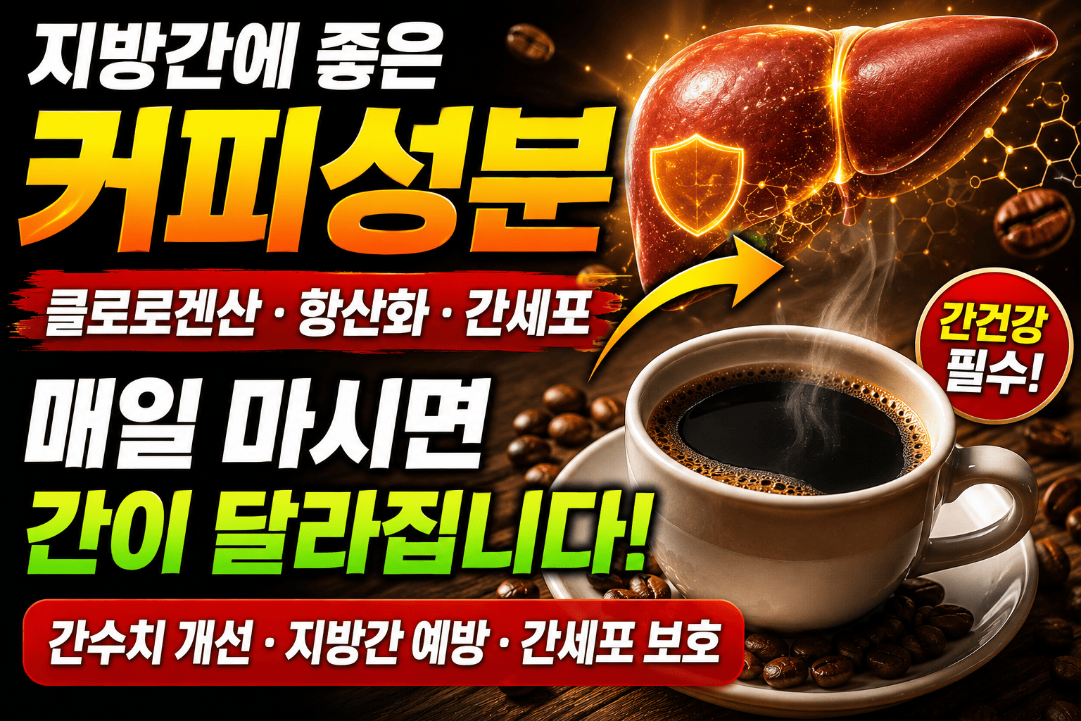 지방간에 좋은 커피성분 (클로로겐산, 항산화, 간세포)