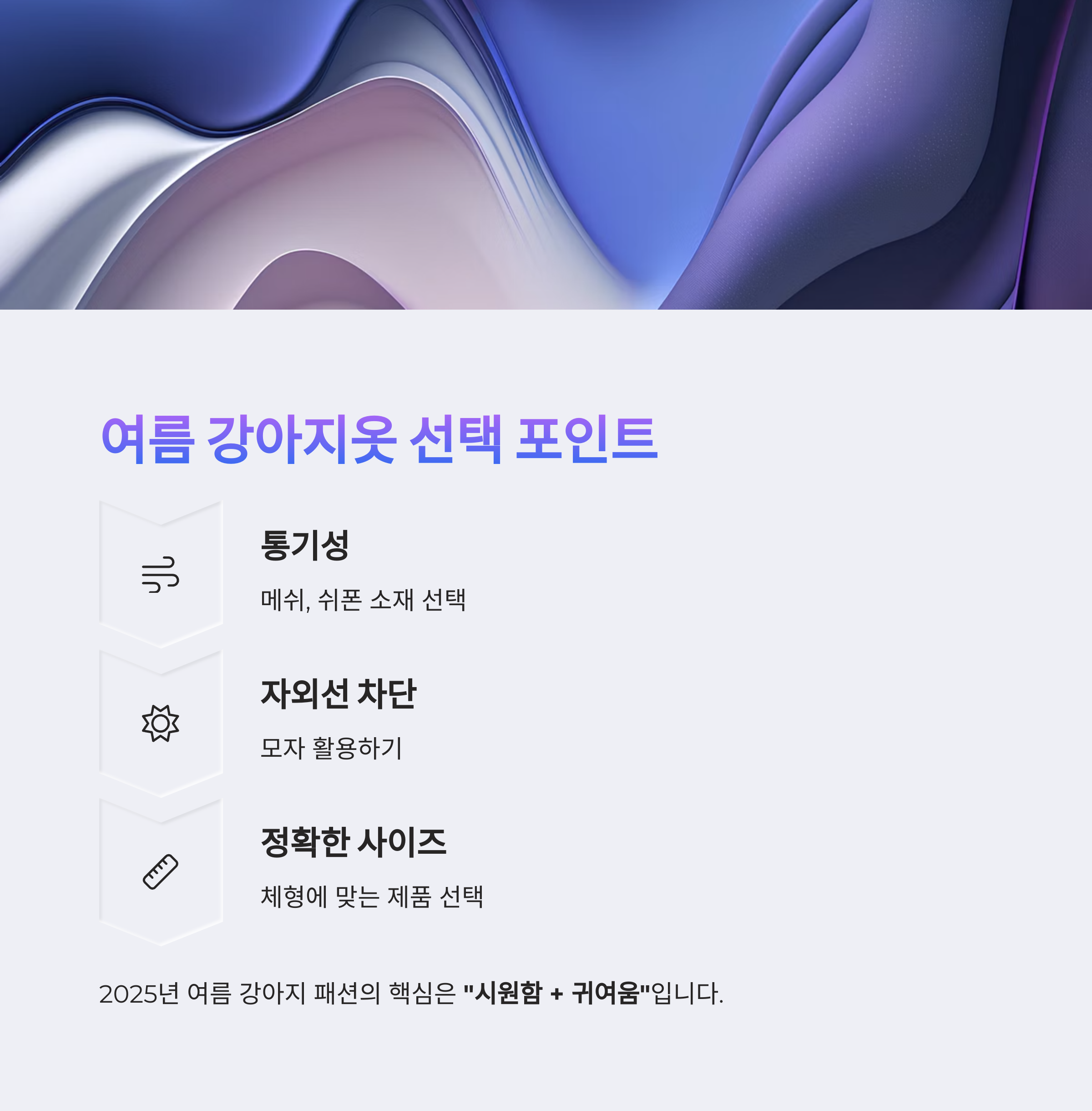 여름 강아지옷 선택 포인트