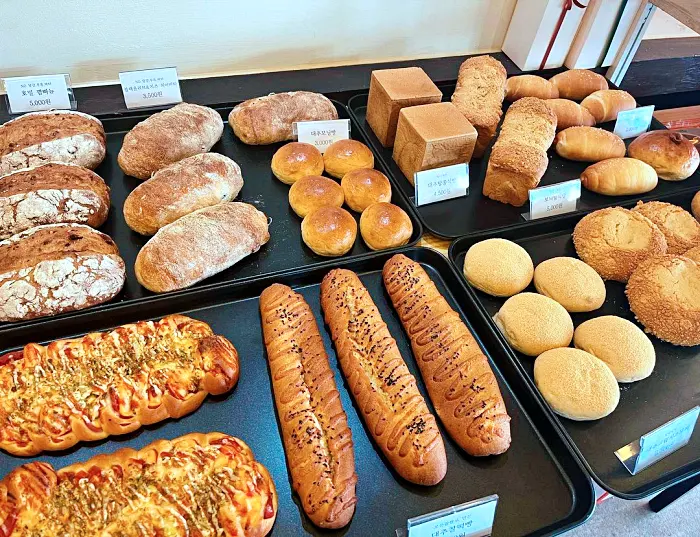 생방송 오늘저녁 충북 보은 대추 디저트 카페, 대추단팥빵 맛집