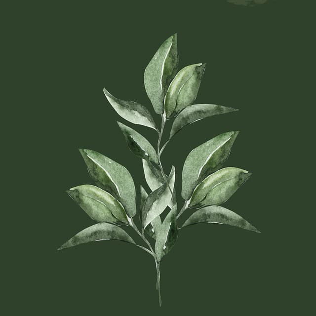 식물이 사람의 정신 건강에 미치는 영향: 초록이 주는 힐링의 힘