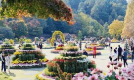 청남대(2025) 예약접수 방법 힐링여행 관련 사진