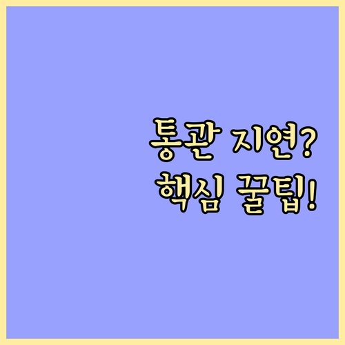 통관 지연 방지 개인통관부호 조회 및..