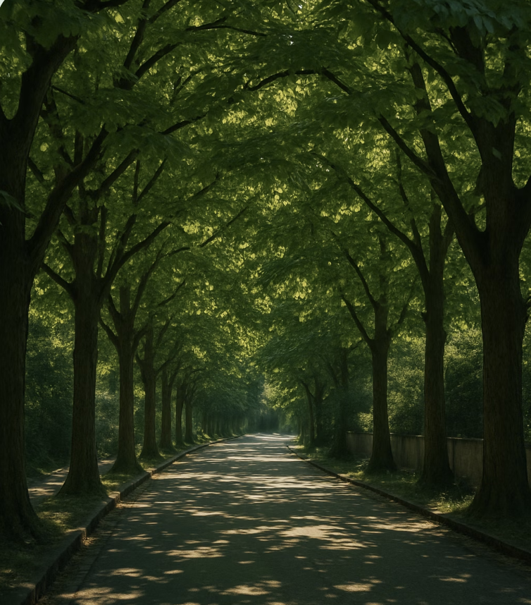 여름: 시원하고 짙푸른 녹색 터널