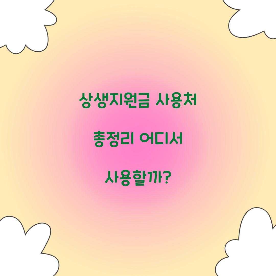 상생지원금 사용처