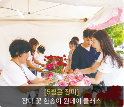 울산대공원 장미축제 프로그램