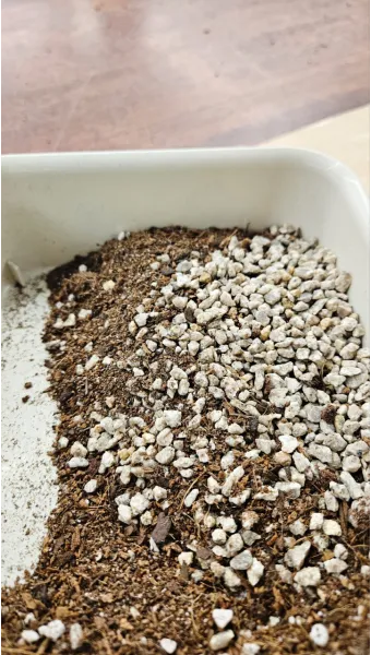 마사토 배합 비율 배수력개선 분갈이기본 시니어도 쉽게_6