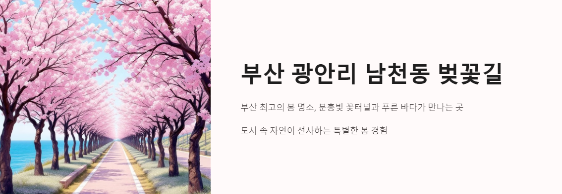광안리 남천동 벚꽃거리 주차 맛집 꿀팁 총정리
