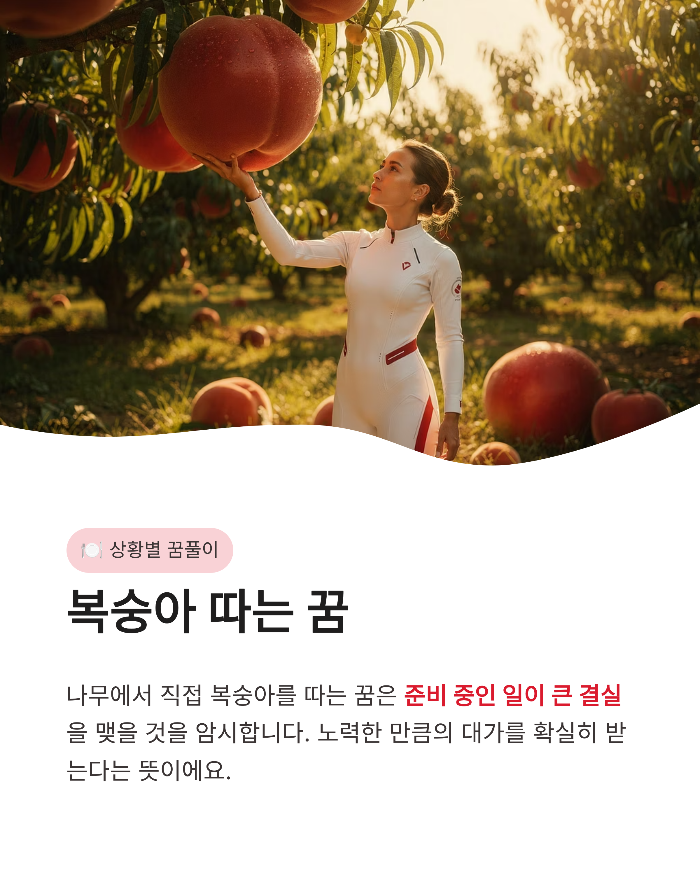 복숭아꿈 해몽 태몽 종류별 상황별 무료 꿈풀이 총정리