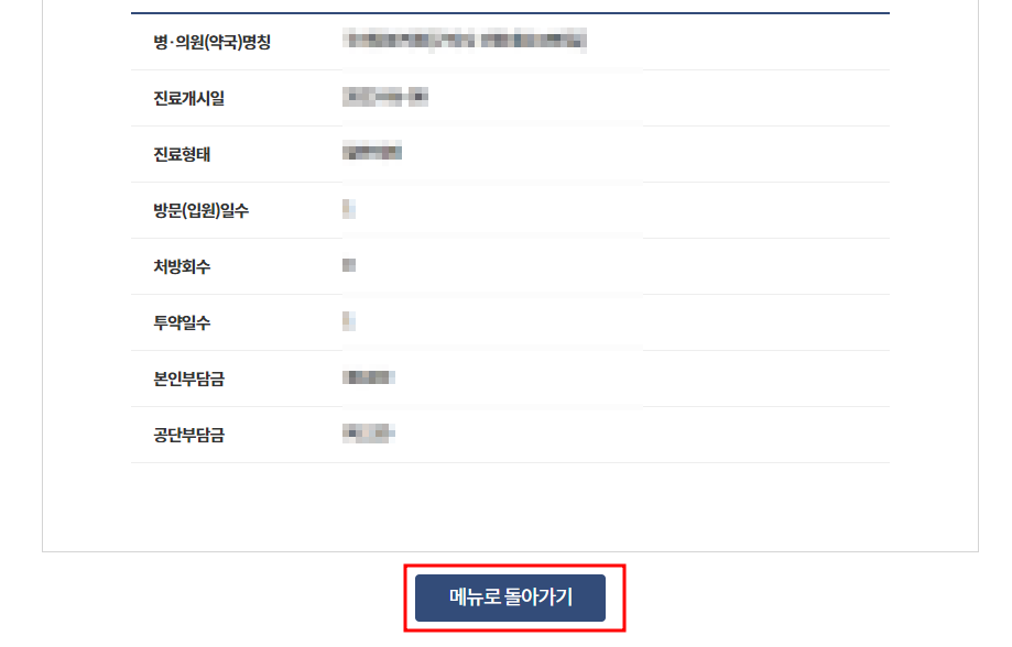진료받은 내역 조회 결과