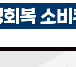 국민카드 민생지원금 잔액조회 소비쿠폰 남은금액 확인8