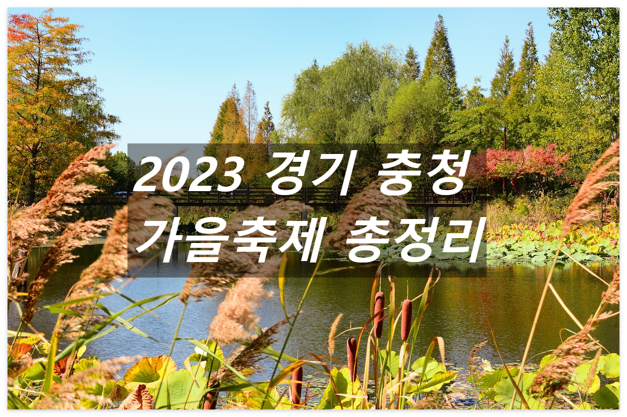 가을축제 예시사진