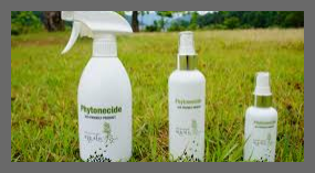 권연벌레 물린자국 퇴치법