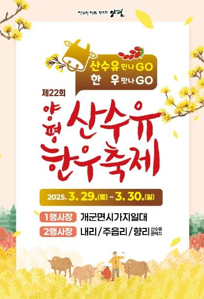 양평 산수유 한우축제