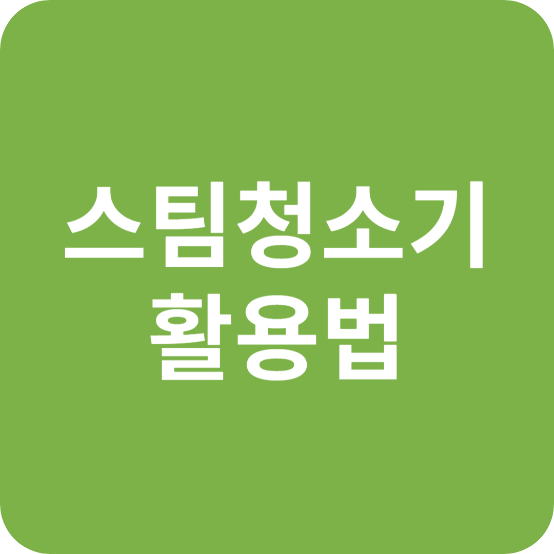 스팀 청소기 활용법