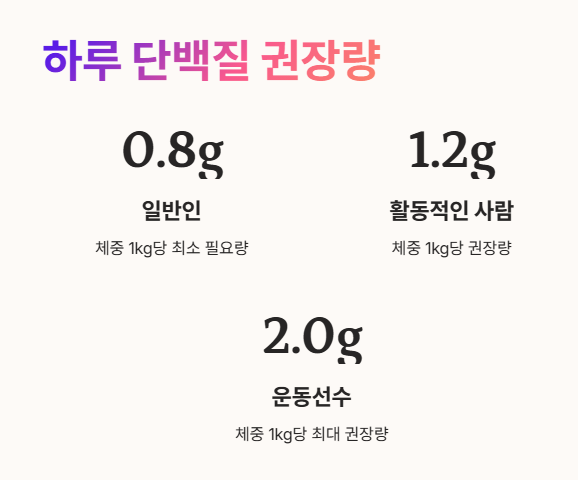 하루 단백질 섭취 권장량