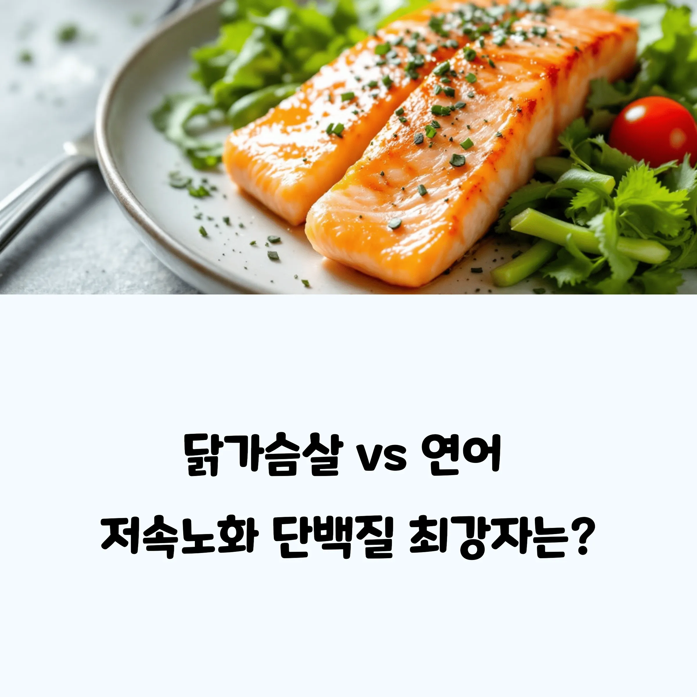 닭가슴살 vs 연어, 저속노화 단백질 최강자