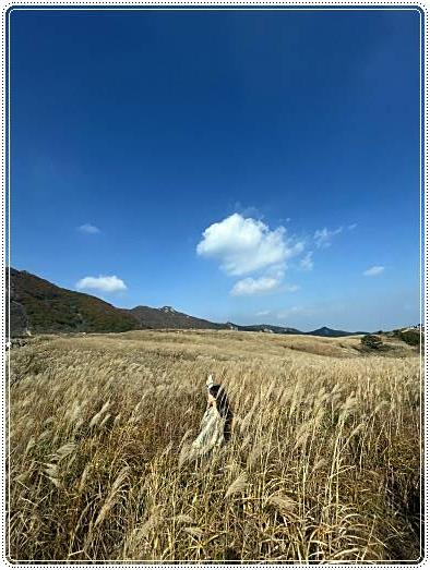황매산-억새축제