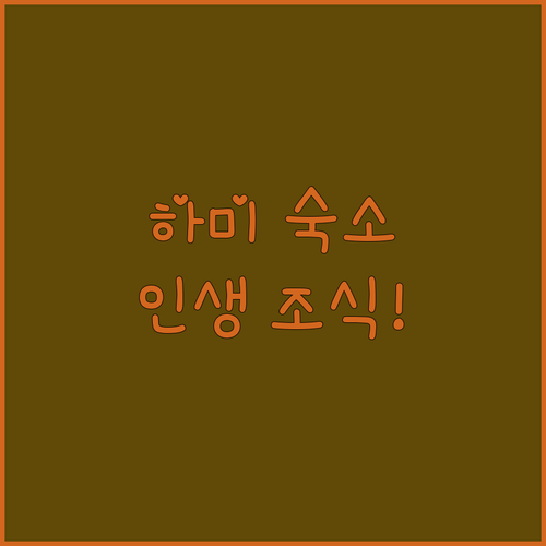 하미 여행 숙소 추천 가성비 좋은 신..