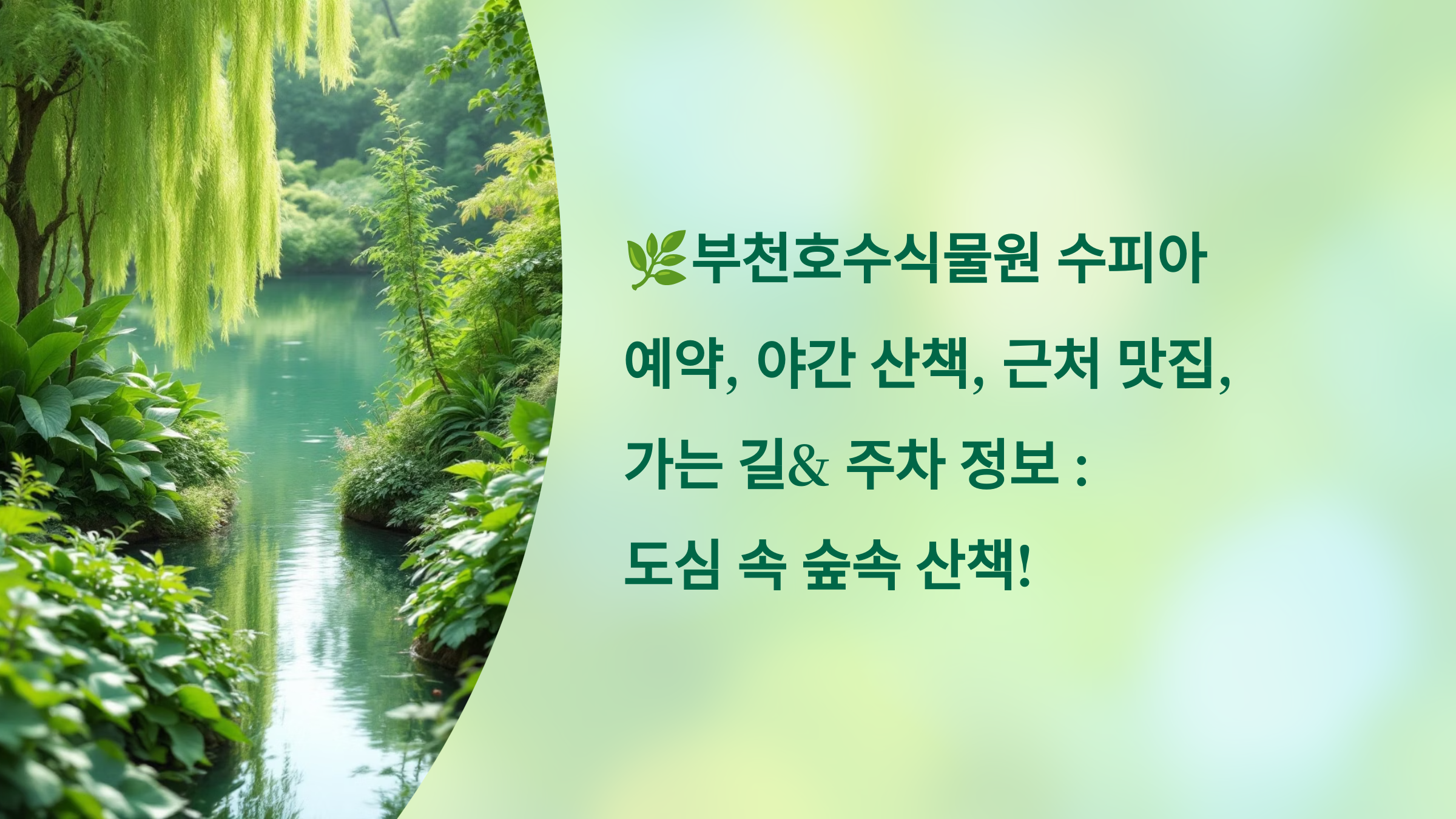 🌿부천호수식물원 수피아 예약, 야간 산책, 근처 맛집, 가는 길&amp; 주차 정보 : 도심 속 숲속 산책!