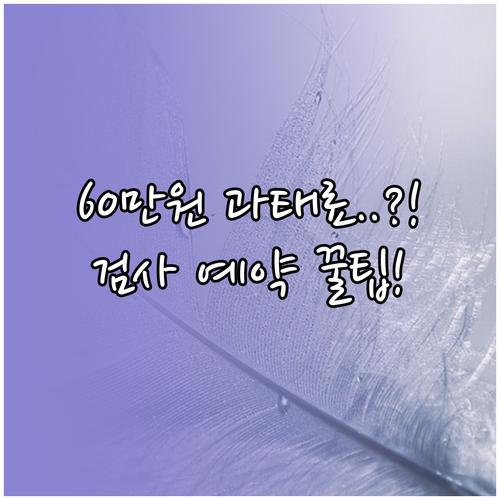 최대 60만원 과태료 피하는 자동차 ..