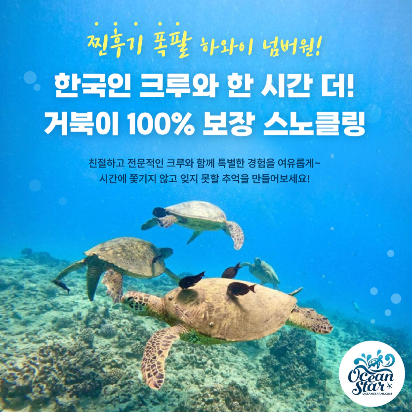 하와이 스노클링