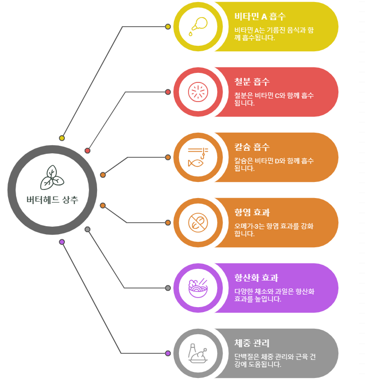 버터헤드 상추와 함께 섭취하면 좋은 영양소