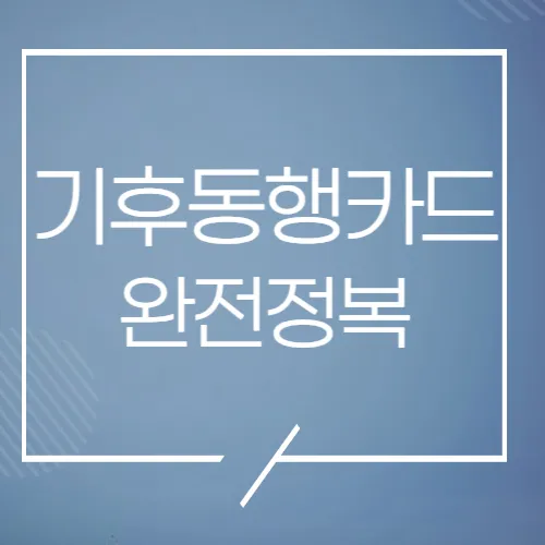 기후동행카드 안내