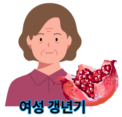 여성 갱년기 증상