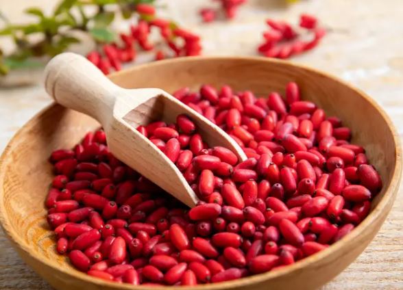 베르베린 부작용