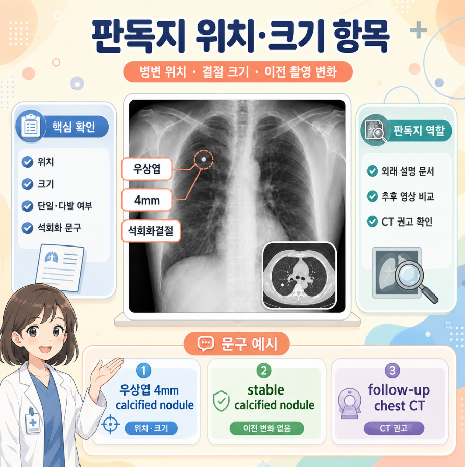 판독지에서 확인하는 병변 위치, 결절 크기, 석회화 문구와 문구 예시를 설명한 메디컬 인포그래픽 이미지