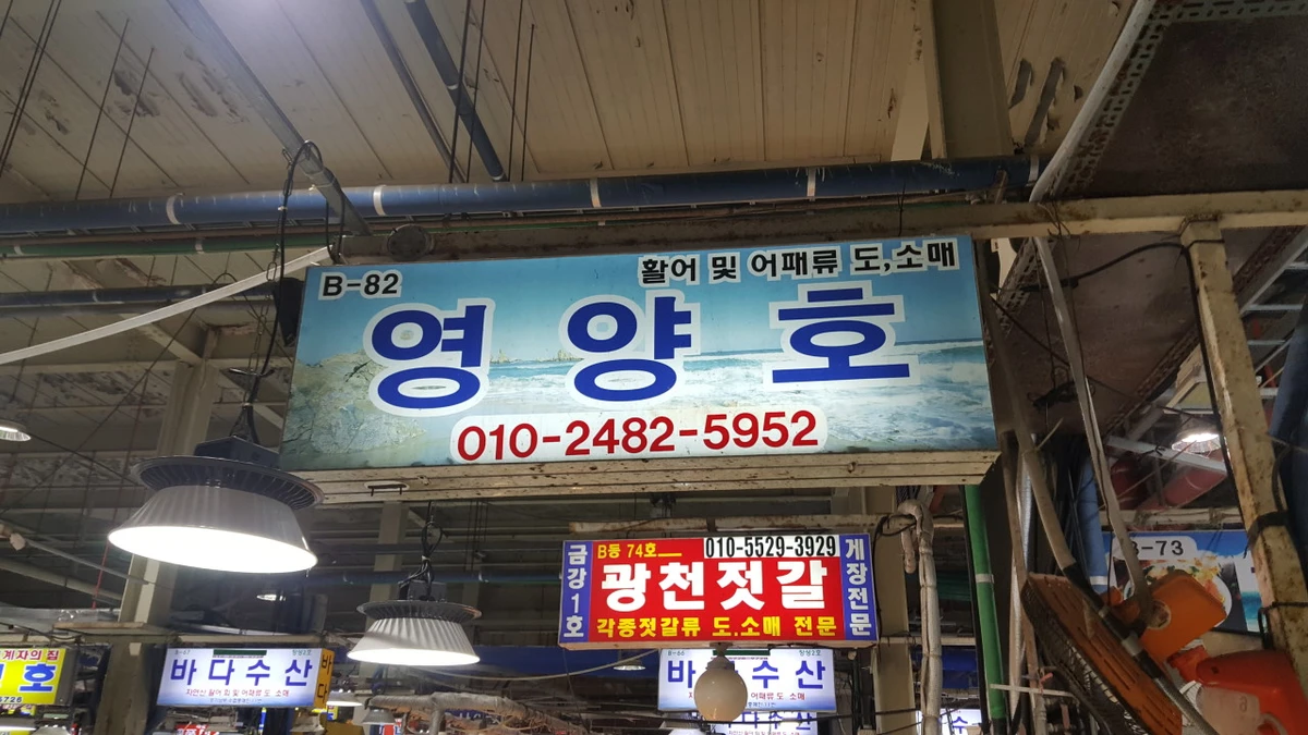영양호