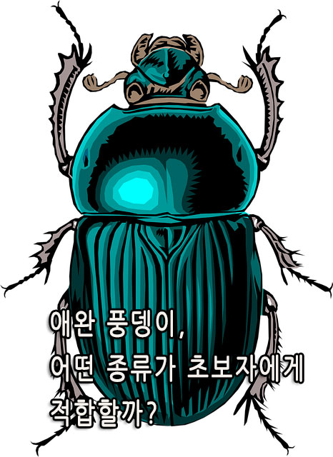 애완 풍뎅이, 어떤 종류가 초보자에게 적합할까?