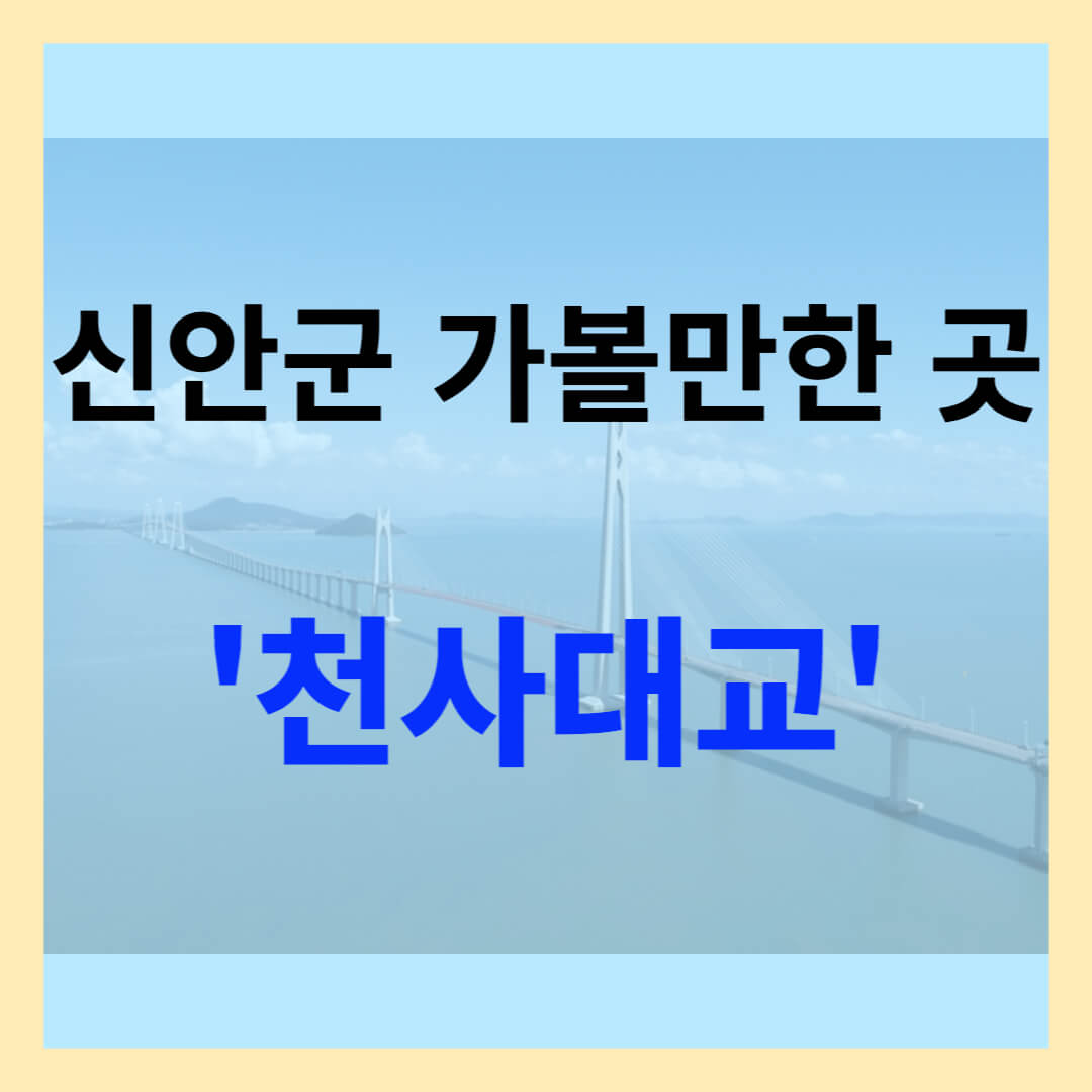 신안군 가볼만한 곳