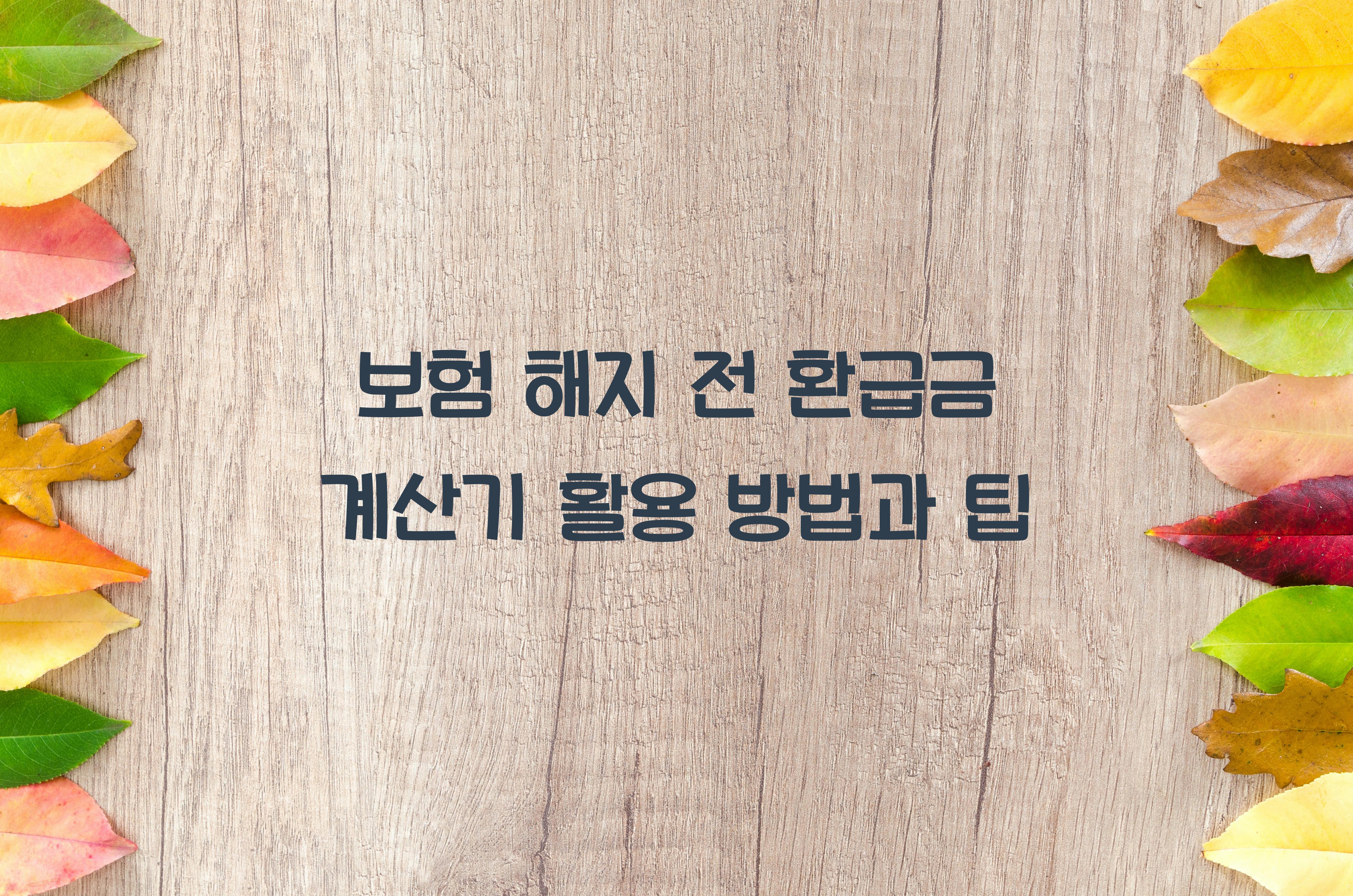 보험 해지 전 환급금 계산기 활용