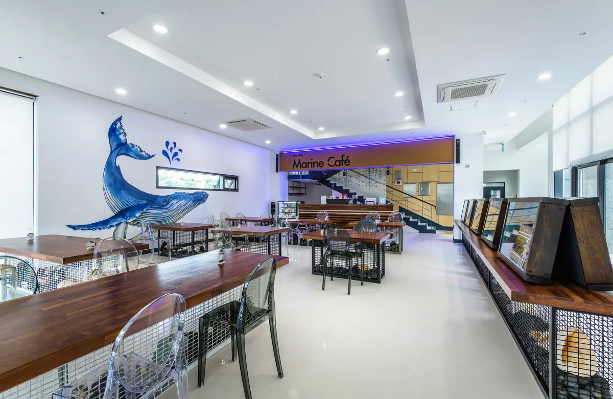 제주도-서쪽-여행-아이들과-가볼만한-곳-제주해양동물박물관-카페