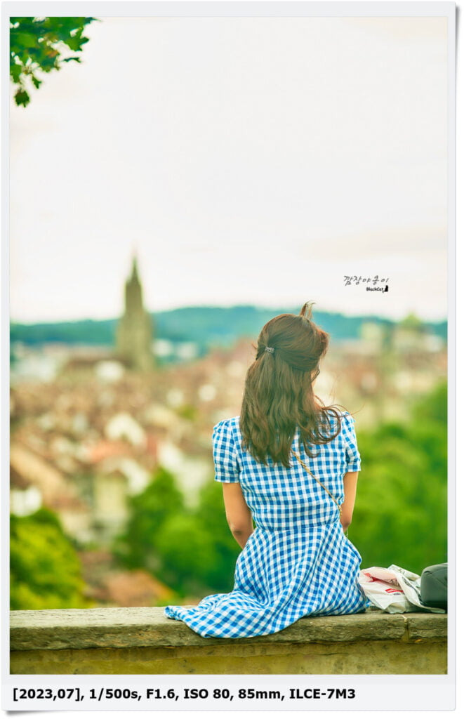 나영석PD 꽃보다 할배에도 나왔던 스위스 수도 베른 여행(장미 공원&amp;곰 공원)