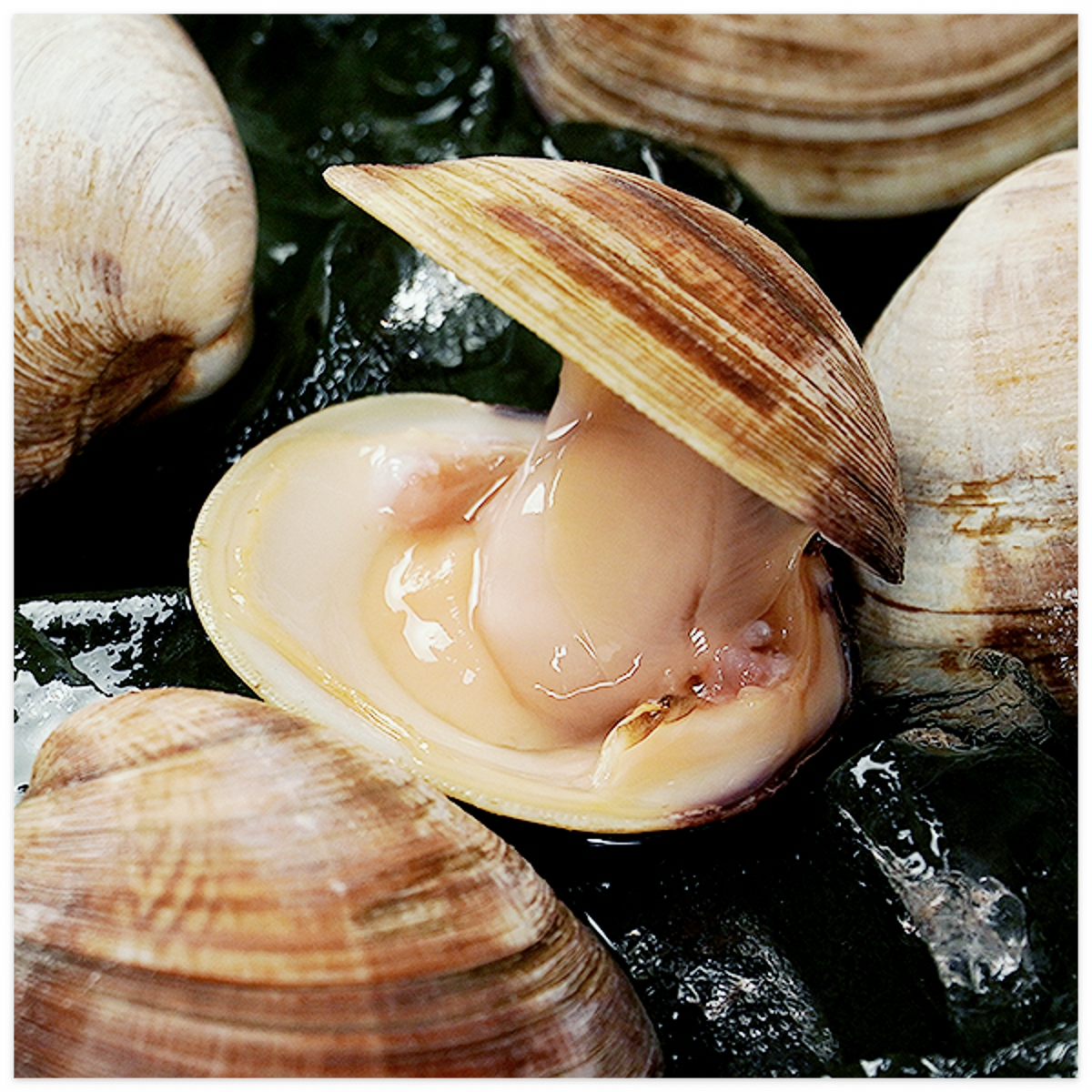 ​아르기닌-많은-음식