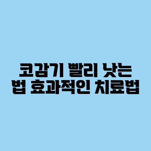코감기 빨리 낫는 법 효과적인 치료법